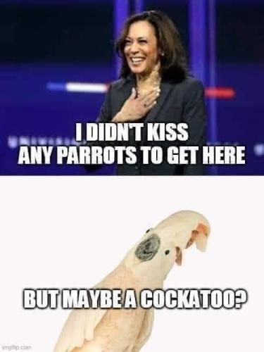 FB_IMG_1642186652846