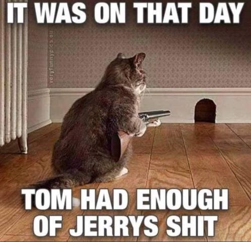 FB_IMG_1641533136214