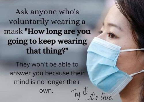 272127037_5425663037462146_2575434883167419886_nFB