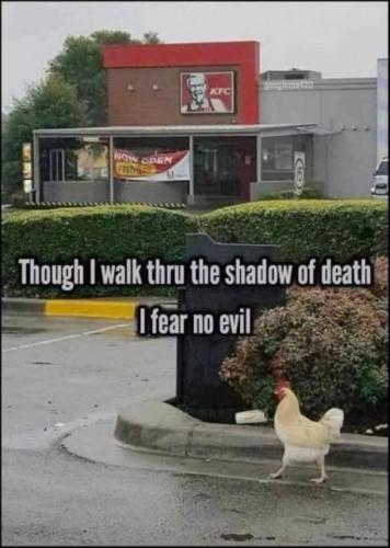 kfc02