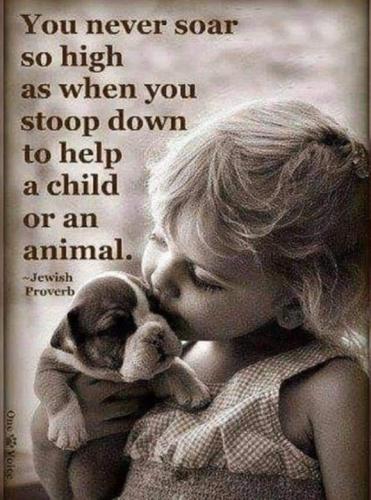 FB_IMG_1638585116643