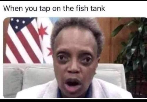 FB_IMG_1641931928128