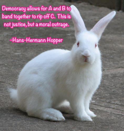 43056117_1943325065716536_4742107235855892480_n