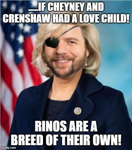 sngine_cd633e84538cb636a73dab8606712cb4