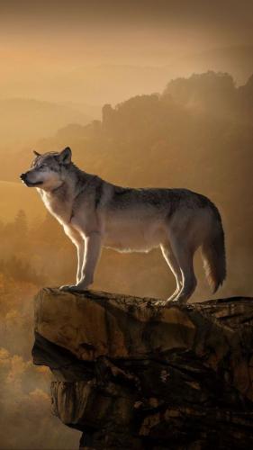 18:46:38 GMT-0600 (CST)