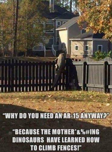 FB_IMG_1643315951621