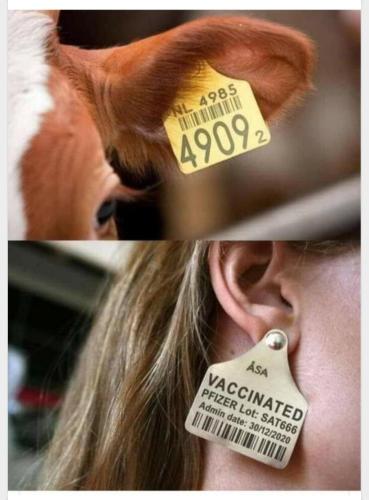 Resized_Screenshot_20220110-153559_MeWe