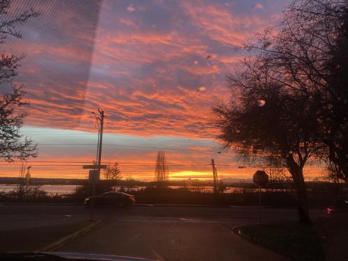 C3150B15-6D95-4B76-97CE-3DBAA8EBCB37