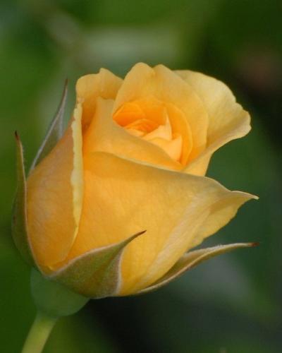 18:16:26 GMT-0600 (CST)