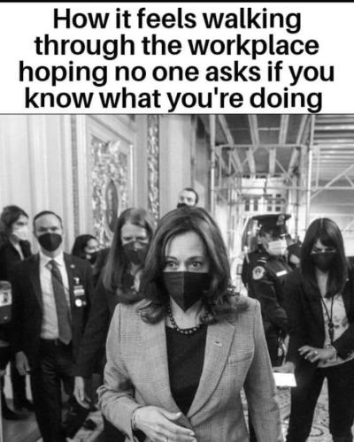 FB_IMG_1643043366831