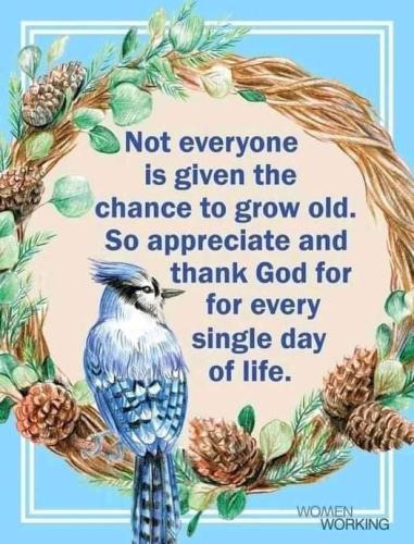 FB_IMG_1641863830695