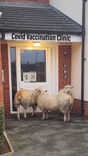 FB_IMG_1641557057846