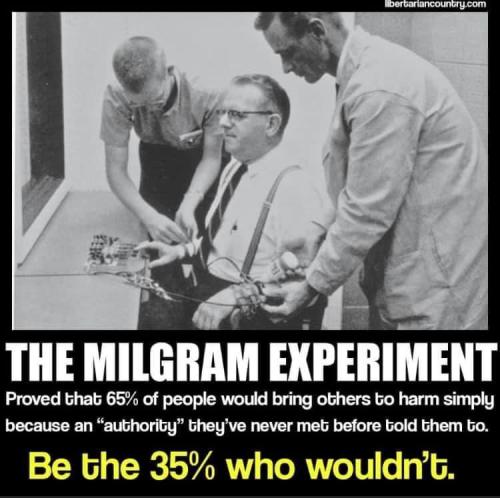 milgram experiment