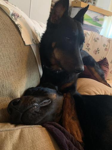 10:37:12 GMT-0800 (PST).image