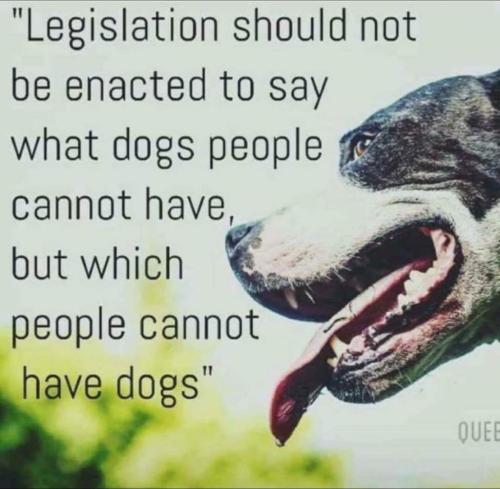 FB_IMG_1642199043064