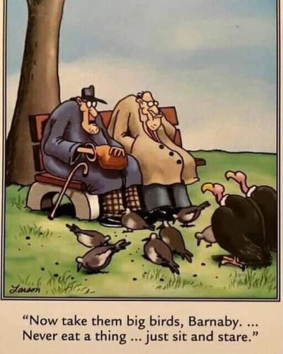 272066050_4950735821636053_6364122582794647952_n