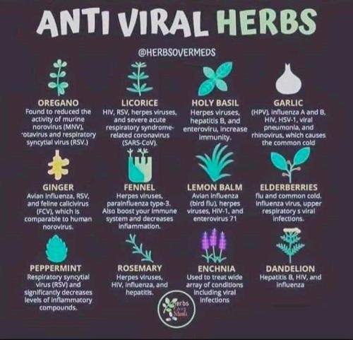 IMG_20220126_143105_633