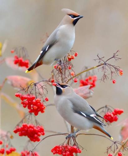 271812449_4743210952415196_8086050607938882156_n