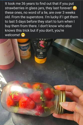 272013080_482402623243891_189673088402838083_n