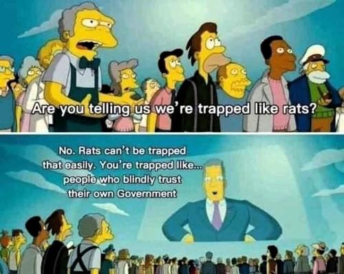 271385349_1066685330840321_3745860978303692783_n