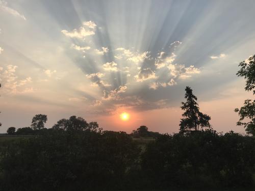 46A91EC0-C9B8-4C24-8A04-BF3CA92FD827