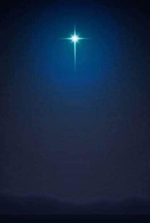 Screenshot_20211116-081320-317