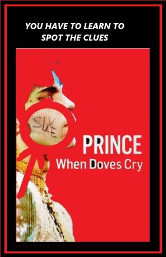 PRINCE WHEN DOVES CRY