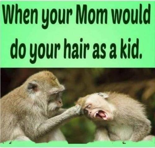 FB_IMG_1641784989549