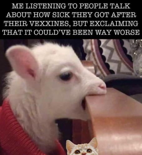 photo_2022-01-05_20-23-06