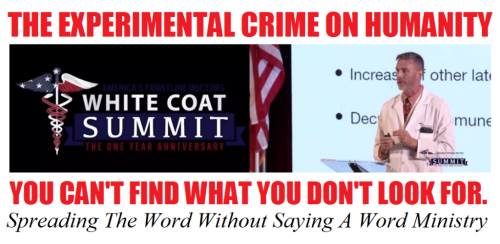 271975706_1012617556019602_2859727454844035162_n