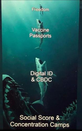 Resized_Screenshot_20220120-182959_MeWe_180893016542659