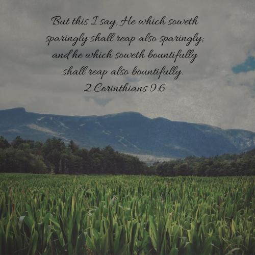 07:28:25 GMT-0500 (EST)