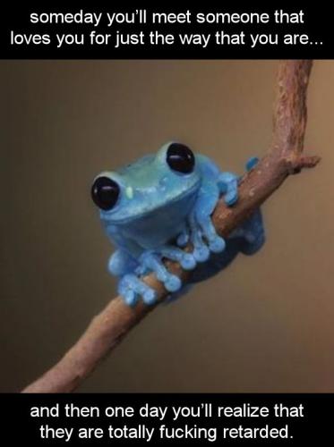and then one day youll realize that they are totally fucking retarded