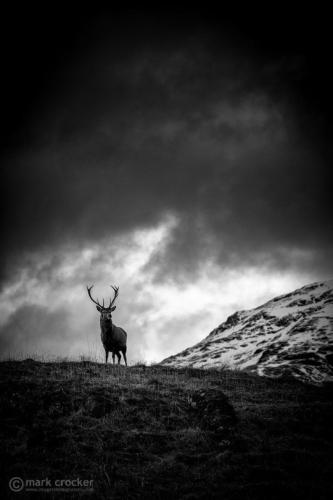 tumblr_6b486f2fcfd1d14f76d1c45a2ecb25e5_9d25fe5c_540