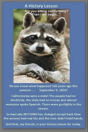 Screen Shot 2022-01-15 at 1.47.51 PM