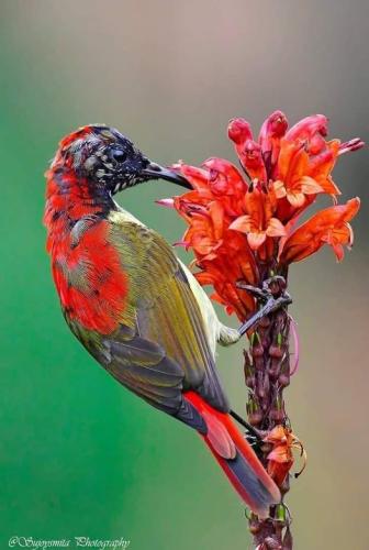 272666237_4802767819792842_2053440623138948624_n