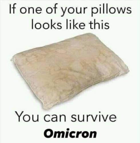 FB_IMG_1641735164172