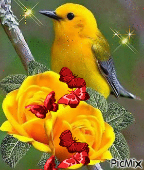 19:27:59 GMT-0600 (CST)