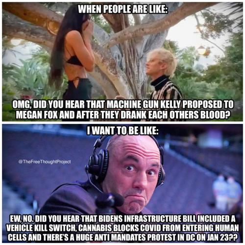 424242111111111122275jjghjhg