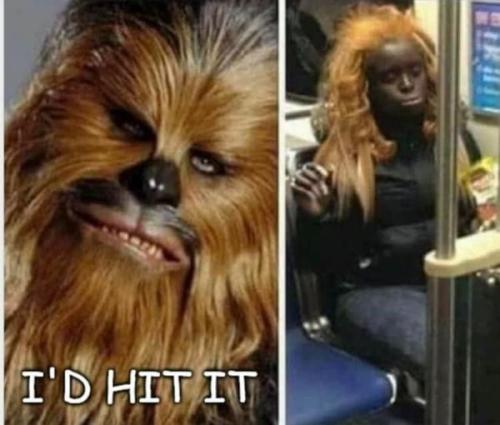 271899454_435664431599211_6435147190679664024_n