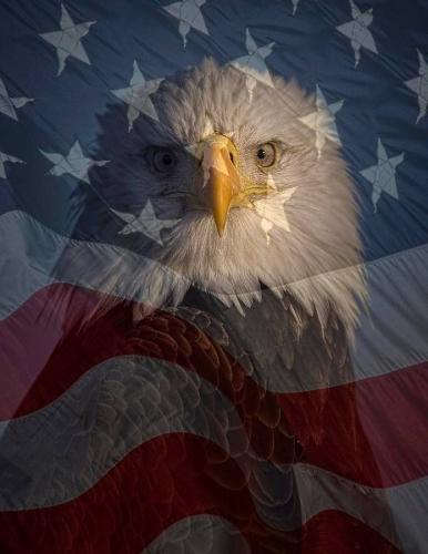 14:33:15 GMT-0600 (CST)