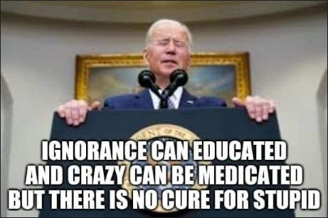 biden993