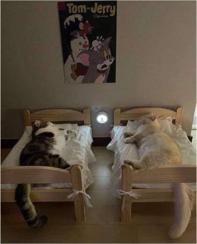 FB_IMG_1640974146702