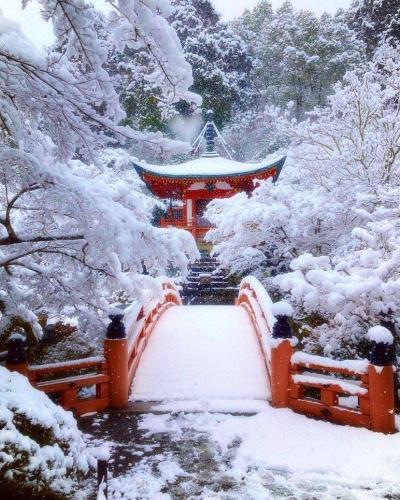 272966011_488990682568179_621088616642303428_n