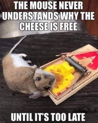 FB_IMG_1643217020821