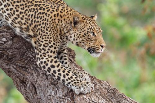 273001065_1755380837994592_1764297465082846576_n