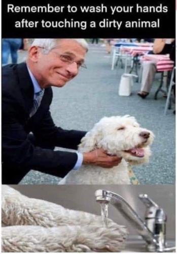 FB_IMG_1641631427405