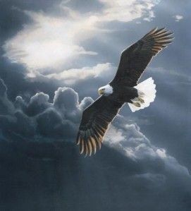 10:56:44 GMT-0600 (CST)