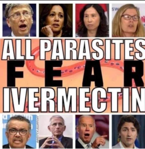 Screenshot_20220123-142023_Samsung Internet