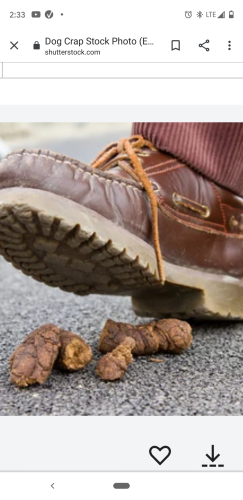 14:33:33 GMT-0500 (EST)